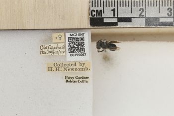 Media type: image;   Entomology 795067 Aspect: Labels
